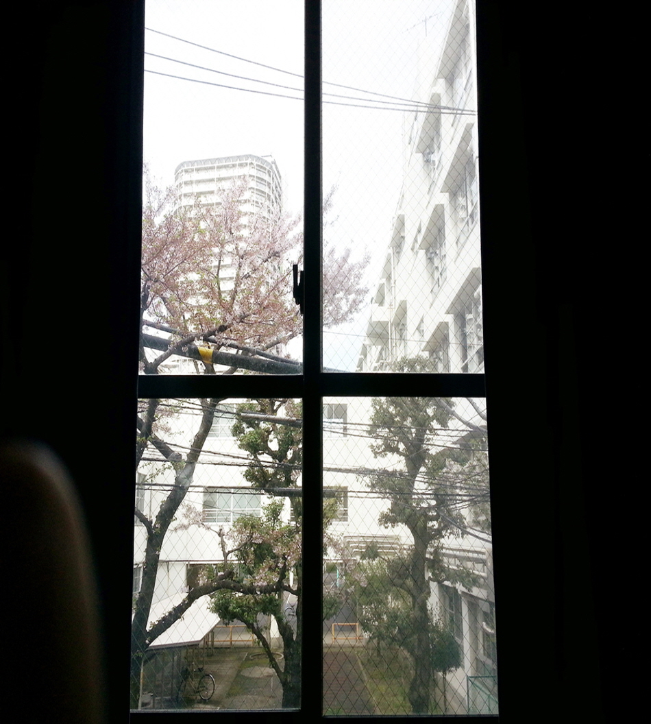 ²Ù¹Ì±â_ÀϺ»À¯ÇÐ ÀϺ»¾îÇп¬¼ö ÀÌÂî¹æÀ¯ÇÐ ¾Æ±î¸ù±îÀÌÀϺ»¾îÇб³ 9.jpg