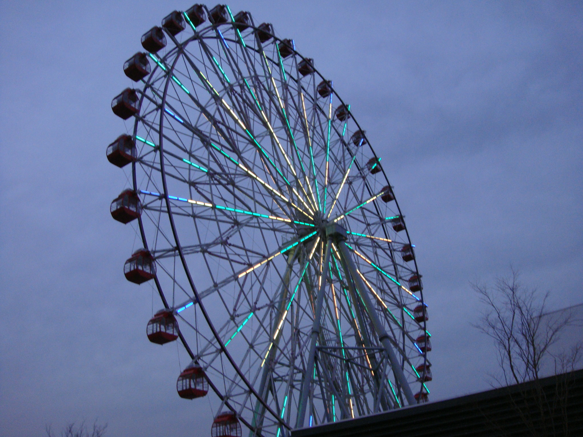src_10315976.jpg